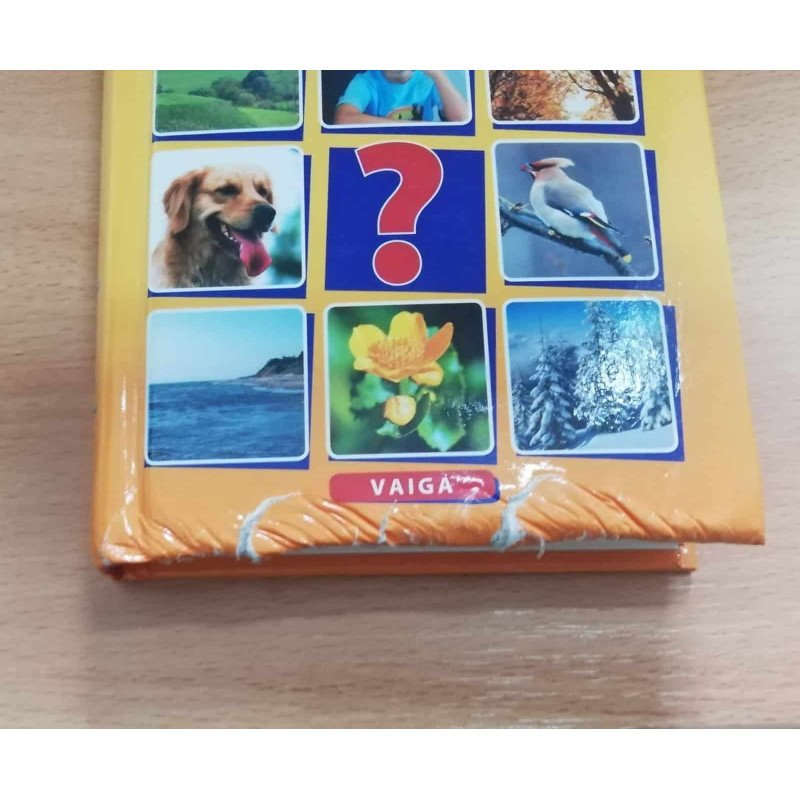 Mįslių pasaulis