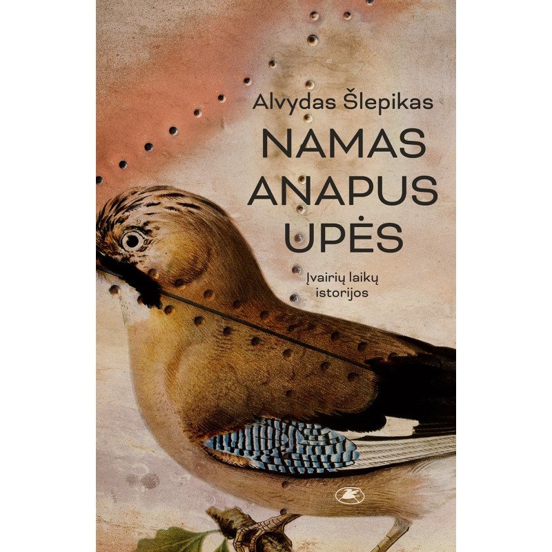Namas anapus upės