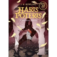 Haris Poteris ir Netikras Princas. 6 dalis