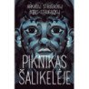 Piknikas šalikelėje