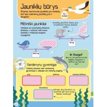 Gyvūnų mažyliai. Veiklos knyga