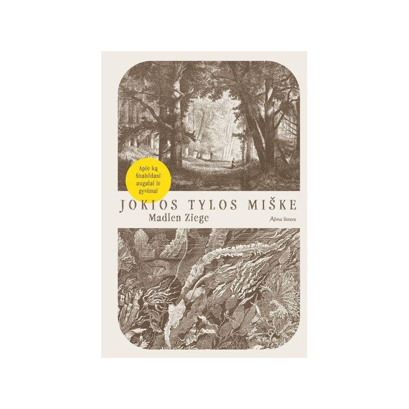 Jokios tylos miške. Kaip bendrauja gyvūnai ir augalai