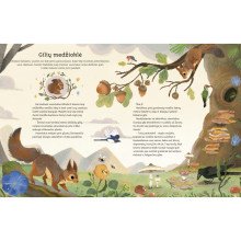 Trumpos gamtos pasakaitės