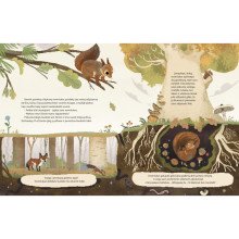 Trumpos gamtos pasakaitės