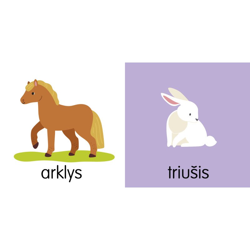 Pirmieji kūdikio gyvūnai