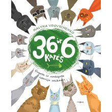36 ir 6 katės