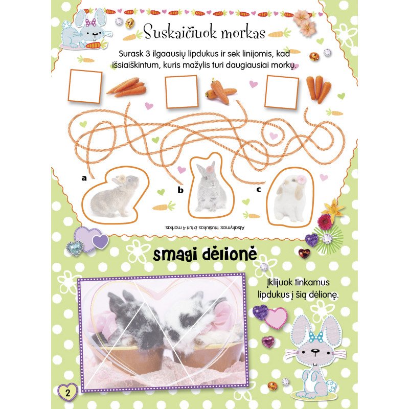 Pūkuotieji bičiuliai. Triušiukai