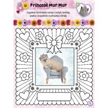 Pūkuotieji bičiuliai. Kačiukai