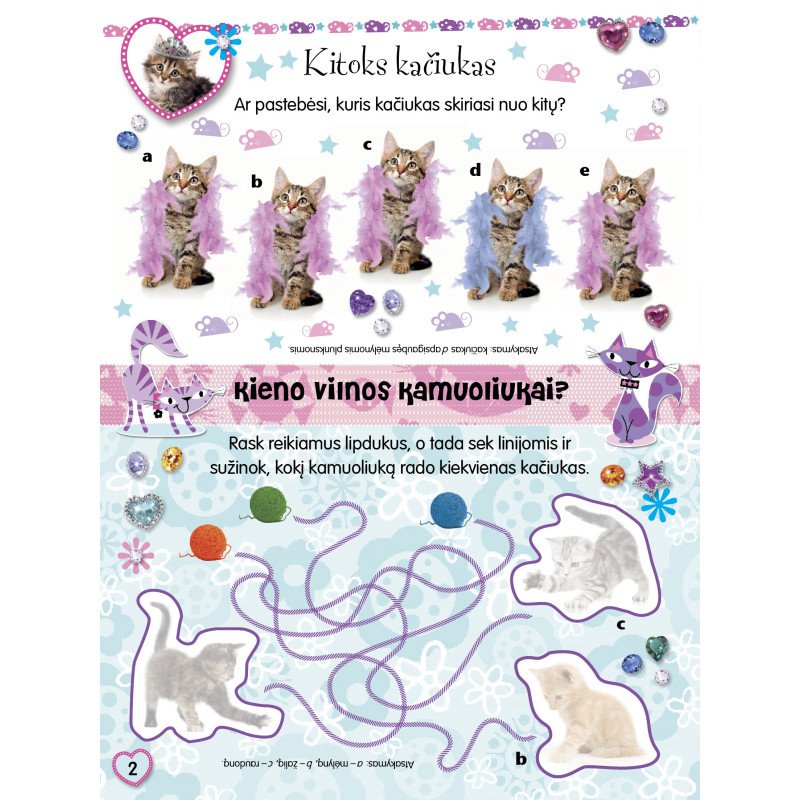 Pūkuotieji bičiuliai. Kačiukai