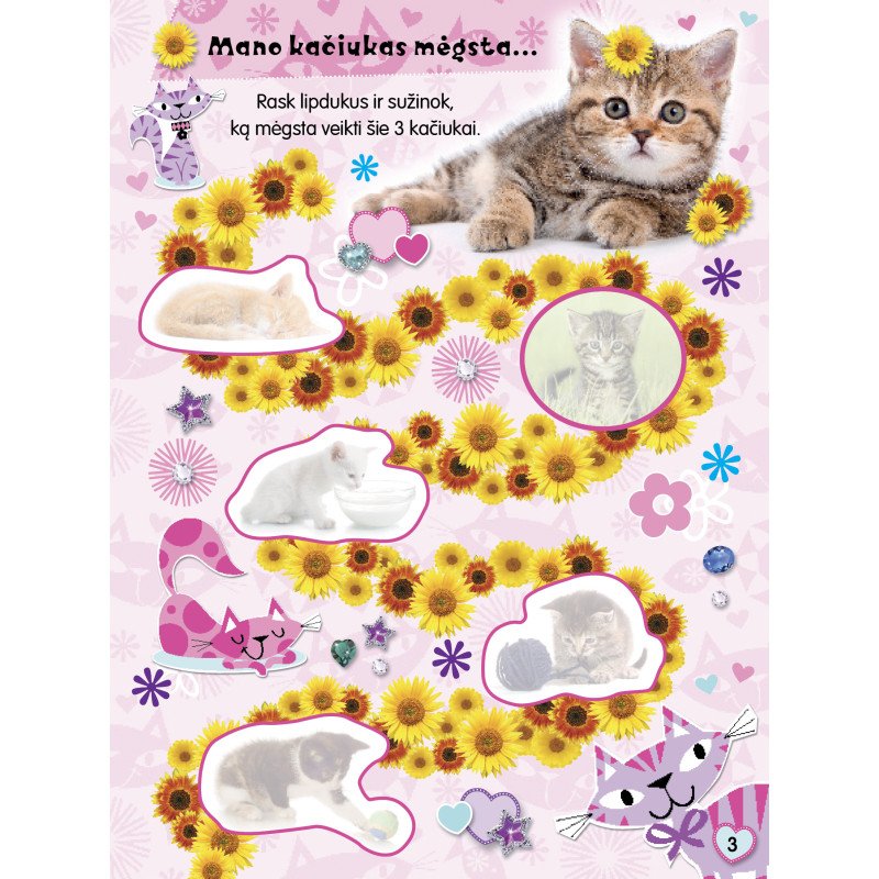 Pūkuotieji bičiuliai. Kačiukai