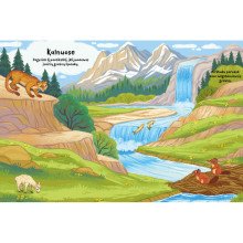 Gyvūnai. Klijuok lipdukus