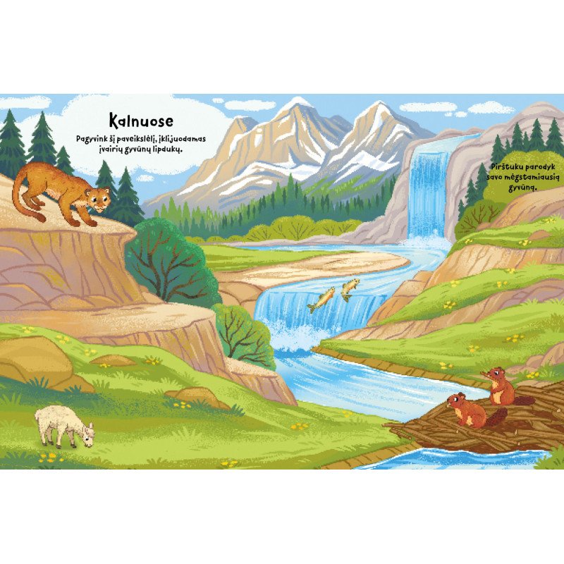 Gyvūnai. Klijuok lipdukus