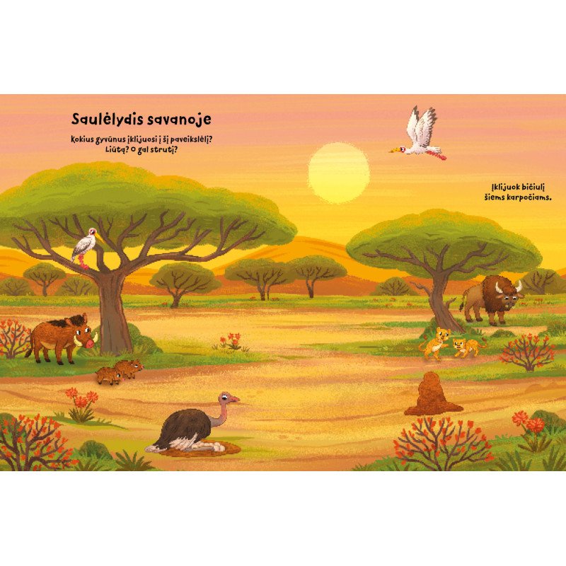 Gyvūnai. Klijuok lipdukus