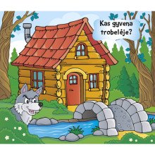 Kas namelyje gyvena? Pasakos