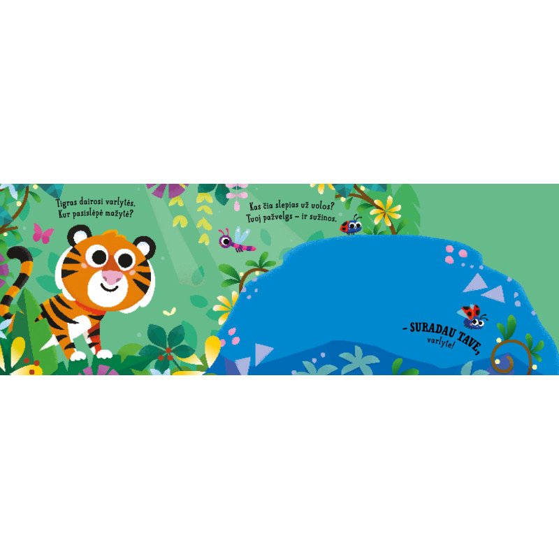 Džiunglės. Slėpynės (iššokantys langeliai)