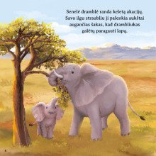 Laukinės gamtos istorijos