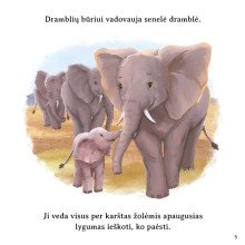 Laukinės gamtos istorijos