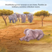 Laukinės gamtos istorijos