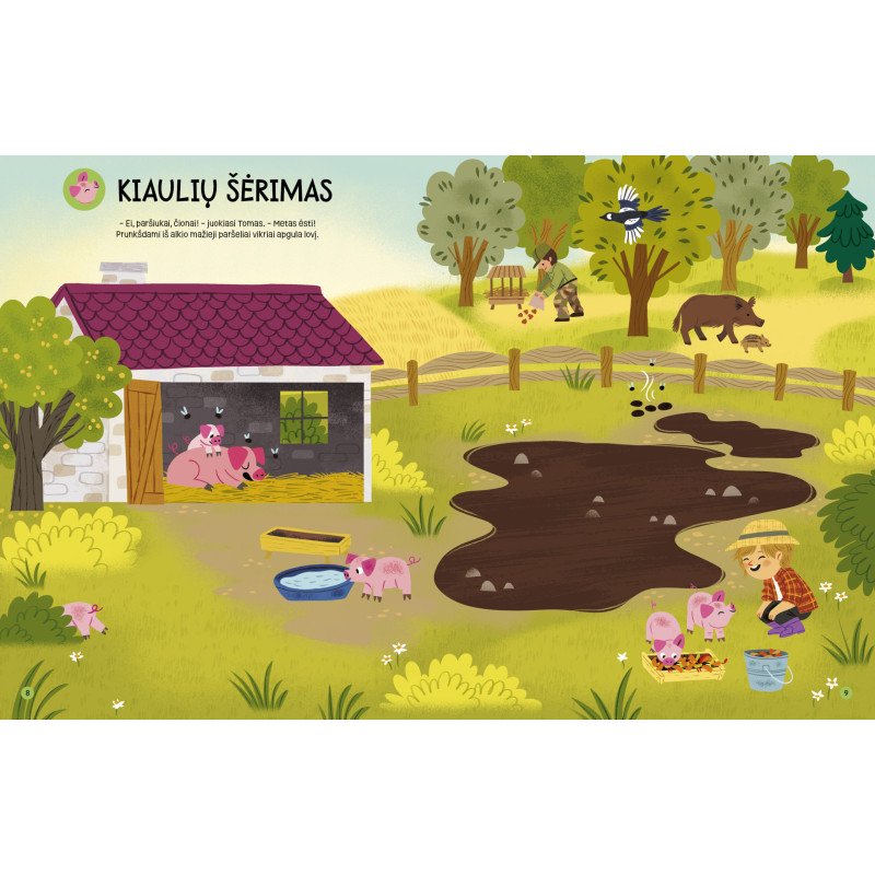 Gyvenimas ūkyje. Lipdukų knyga