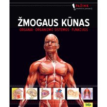Žmogaus kūnas (Organai. Organizmo sistemos. Funkcijos)