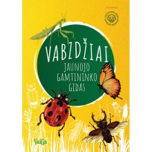 Vabzdžiai. Jaunojo gamtininko gidas