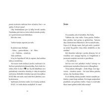 Atsarginis išėjimas