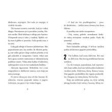 Nuotykis vandens parke