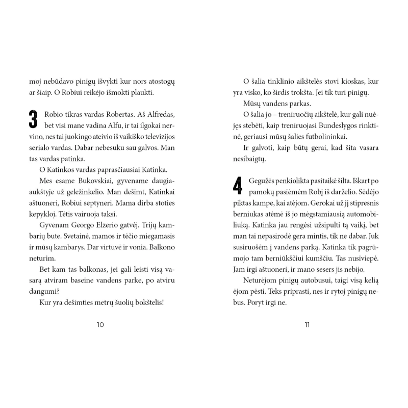 Nuotykis vandens parke