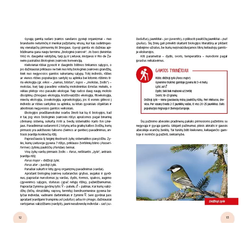 Atradimai gamtoje: keliauk ir pažink