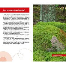 Atradimai gamtoje: keliauk ir pažink