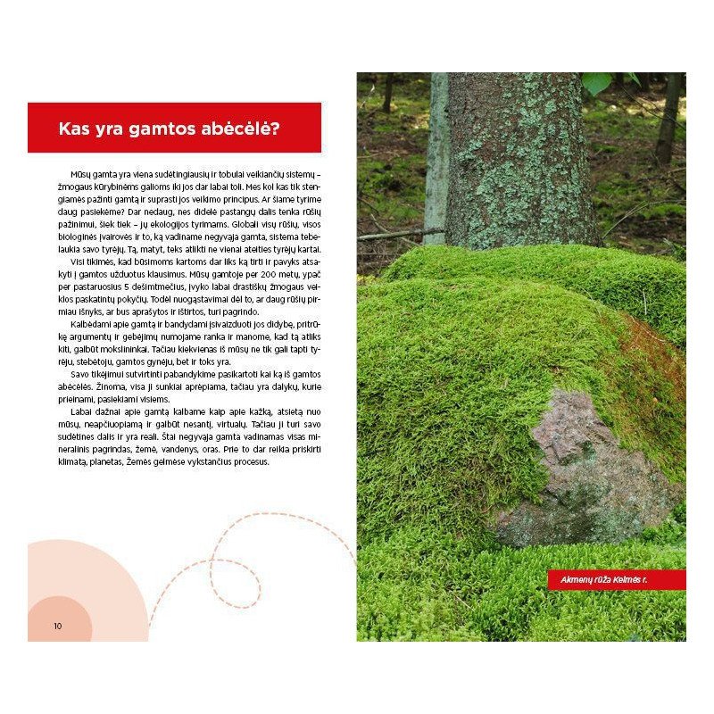 Atradimai gamtoje: keliauk ir pažink
