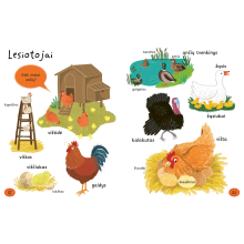 Mano pirmieji 1000 žodžių. Sužinok ir išmok