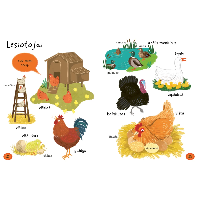 Mano pirmieji 1000 žodžių. Sužinok ir išmok