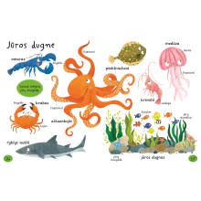 Mano pirmieji 1000 žodžių. Sužinok ir išmok