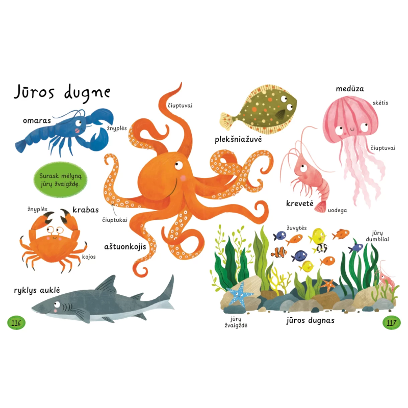 Mano pirmieji 1000 žodžių. Sužinok ir išmok